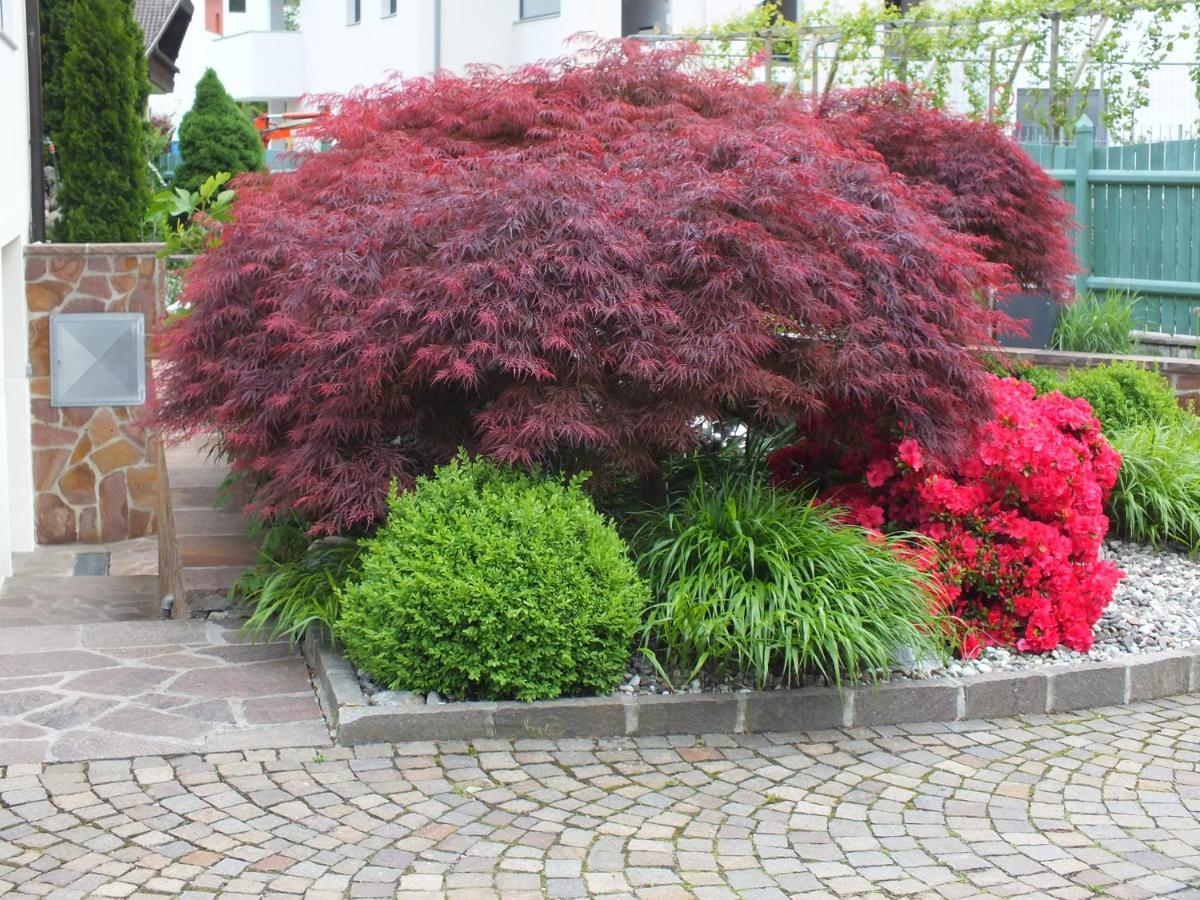 Haus Schweitzer - Apartment Naturns