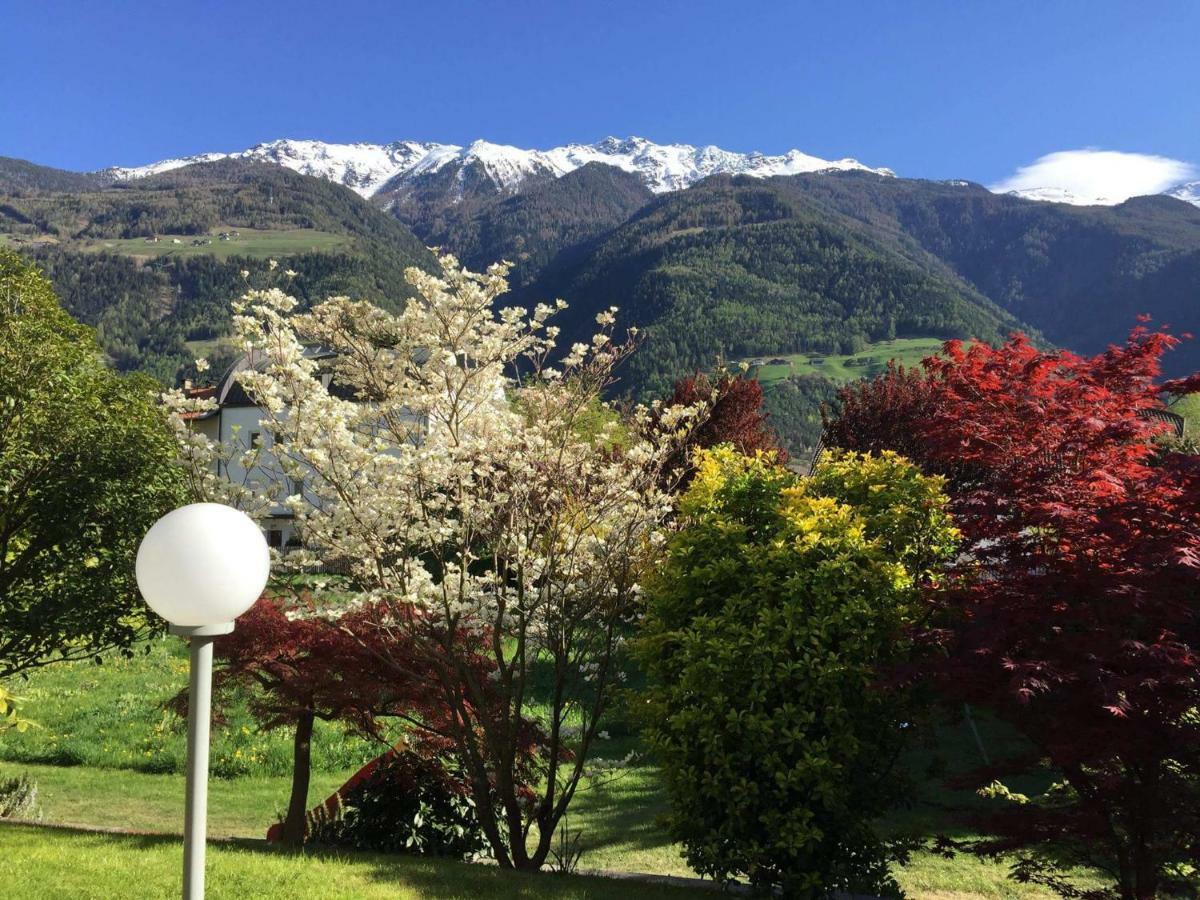 Apartment Haus Schweitzer -