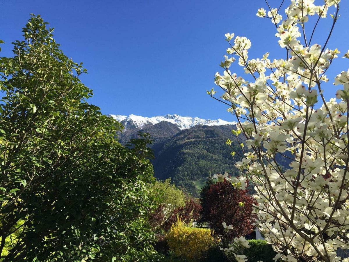 Apartment Haus Schweitzer - *